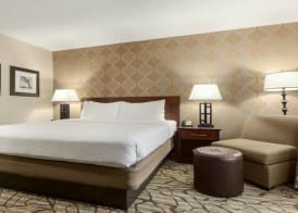 Holiday Inn & Suites WILLIAMSBURG-HISTORIC GATEWAY by IHG 4