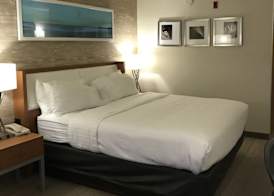 Holiday Inn & Suites BOLINGBROOK by IHG 3