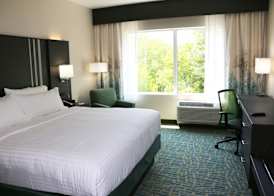 Holiday Inn Express & Suites HENDERSONVILLE SE - FLAT ROCK by IHG 2