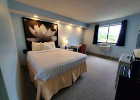 Coastal Inn & Suites 5
