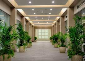 JW Marriott St Maarten Beach Resort & Spa 2