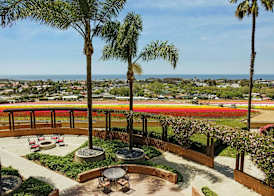 The Cassara Carlsbad, Tapestry Collection By Hilton 2