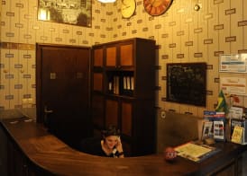 Hostel Deco 2