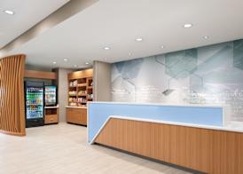 Springhill Suites By Marriott Roanoke North 4