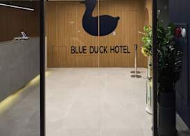 Blueduck hotel 2