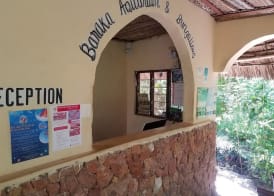 Baraka Aquarium Bungalows 2