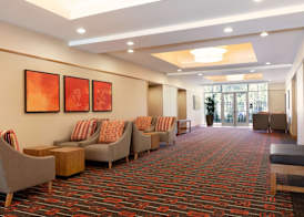 Hyatt Place Houston/The Woodlands 4