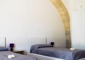 Tenuta Vigna del Noce 2