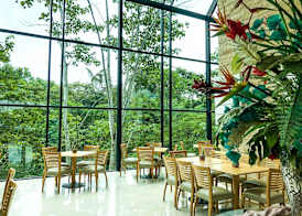 Summit Rainforest Golf Resort & All Inclusive 2