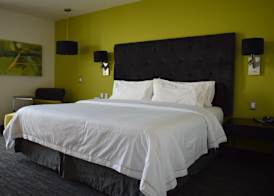Holiday Inn Express TOLUCA GALERIAS METEPEC by IHG 2