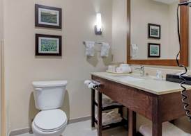 Comfort Suites Benbrook - Fort Worth Southwest 5