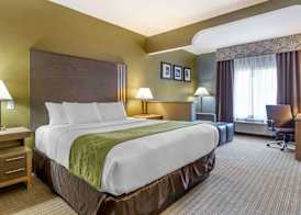 Comfort Suites Southgate-Detroit 4