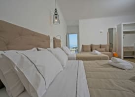 Nida Mykonos 4