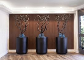 Fairfield Inn & Suites By Marriott Camarillo 4