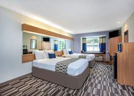 Microtel Inn & Suites by Wyndham Lillington/Campbell University 4