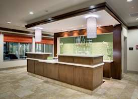 Hilton Garden Inn North Houston Spring 3