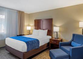 Comfort Inn & Suites Rocklin - Roseville 5