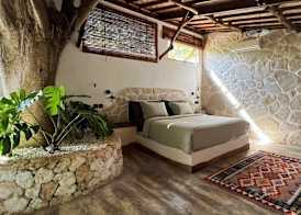 Roots Tree House 4