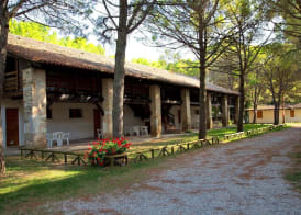 Belvedere Pineta Camping Village Grado 5