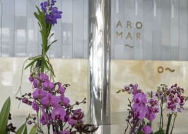 Hotel Aromar 2