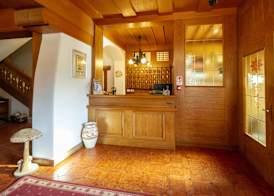 Hotel Stella Alpina 2