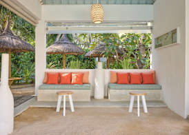 Tropical Attitude (Adults Only) 5