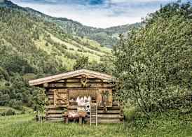 Bauernhofhotel "die Unterbergerin" - Zimmer mit Frühstück und Ferienwohnungen in Gastein mit GRATIS Thermeneintritt 3