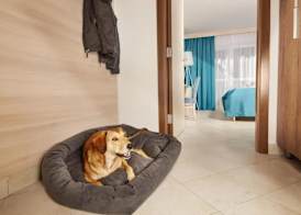 Villas - Hotel & Resort Adria Ankaran 3