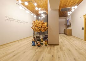 Granduca Mountain Wellness Apartments Campigna 2