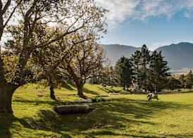 High Season Farm Luxury Cottages 3