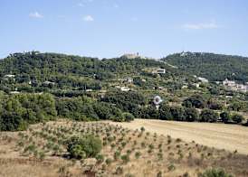 Predi Son Jaumell Hotel Rural 2