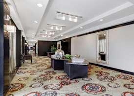 Crowne Plaza HOUSTON GALLERIA AREA by IHG 4