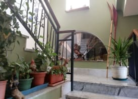Casa con giardino 2