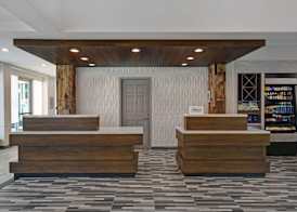 Hilton Garden Inn Houston/Galleria Area 5