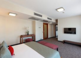 Nippon Hotel 5