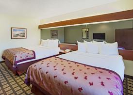 Microtel Inn & Suites by Wyndham Holland 3