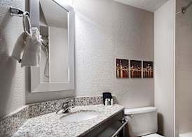 Best Western O'Hare North/Elk Grove Hotel 2