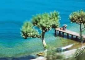 Albergo Del Garda 5