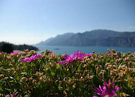 Wellness Hotel Casa Barca (Adult Only) 5