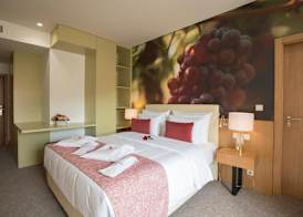 Douro Castelo Signature Hotel & Spa 3