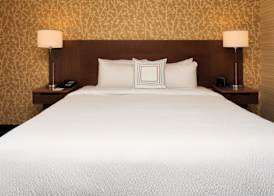 Fairfield Inn & Suites by Marriott Greenville 5