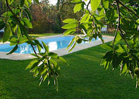 Hotel Apartamento Rural Finca La Media Legua 3