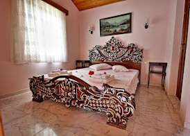 Dalya Life 5