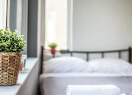 ARIS Premium Accommodation 5