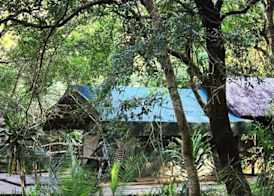 Phophonyane Falls Ecolodge 2