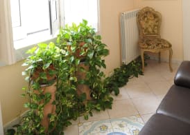 Come D'Incanto A Napoli 3