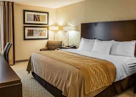 Comfort Inn Bloomington near University 3