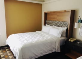 Holiday Inn & Suites PITTSFIELD-BERKSHIRES by IHG 4