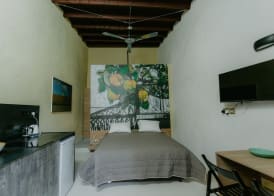 Casa Mespilea 4