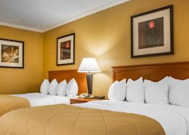 Clarion Hotel & Suites Riverfront 4